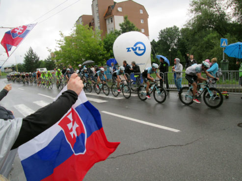 majstrovstva SR CR 8